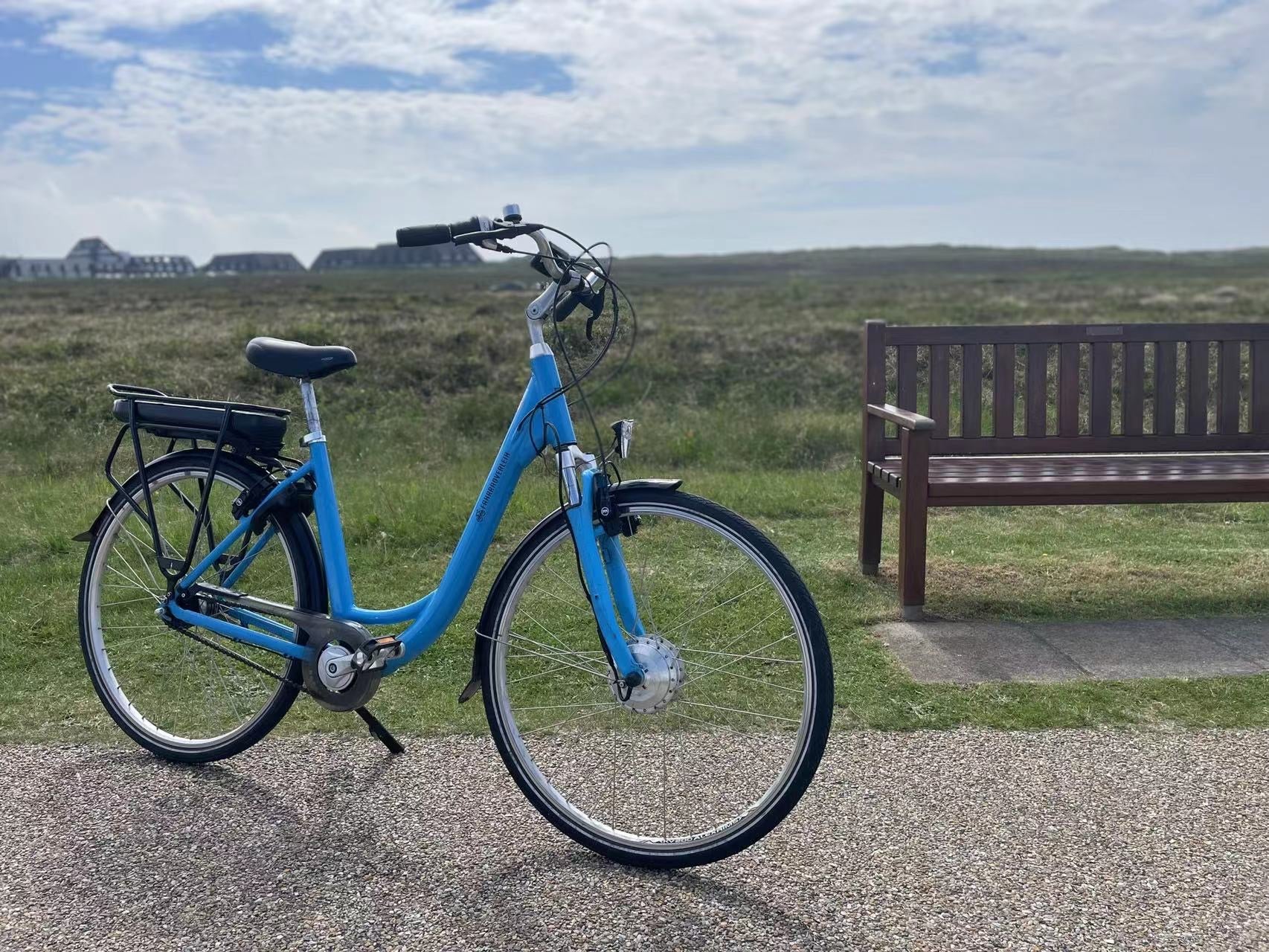 elektro fahrrad damen 28 zoll 28 Zoll City E-Bike mit Shimano Nexus 7-Gang